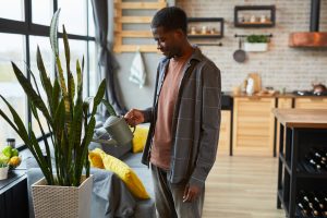 Os benefícios das plantas na decoração da sua casa