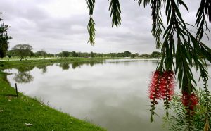 O que fazer em Guaianases: descubra as principais atrações