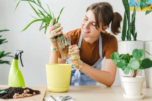 Sustentabilidade em Apartamentos: como viver de forma ecológica no seu novo lar