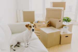 Quais as vantagens de morar no Moderní Tatuapé?